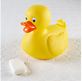 Bath Toys